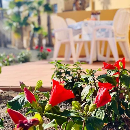 Beautiful 1- Large Bedroom Garden Flat Free Wifi *