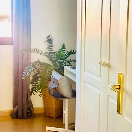 Appartement Beautiful 1- Large Bedroom Garden Flat Free Wifi *