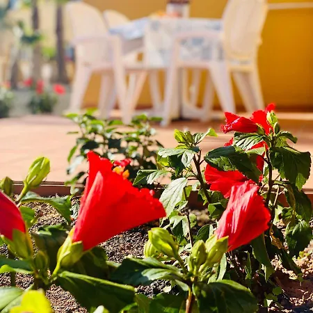 Beautiful 1- Large Bedroom Garden Flat Free Wifi Appartement